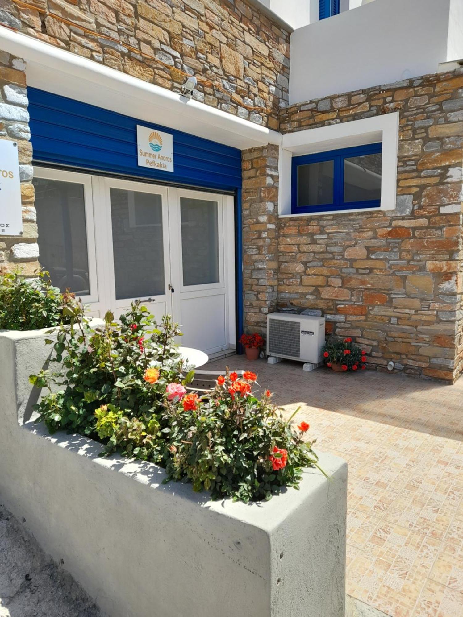 Summerandros Pefkakia Appartement Ándros